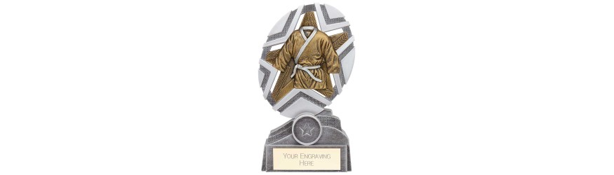 THE STARS MARTIAL ARTS TROPHY - 3 SIZES - 13CM - 17CM